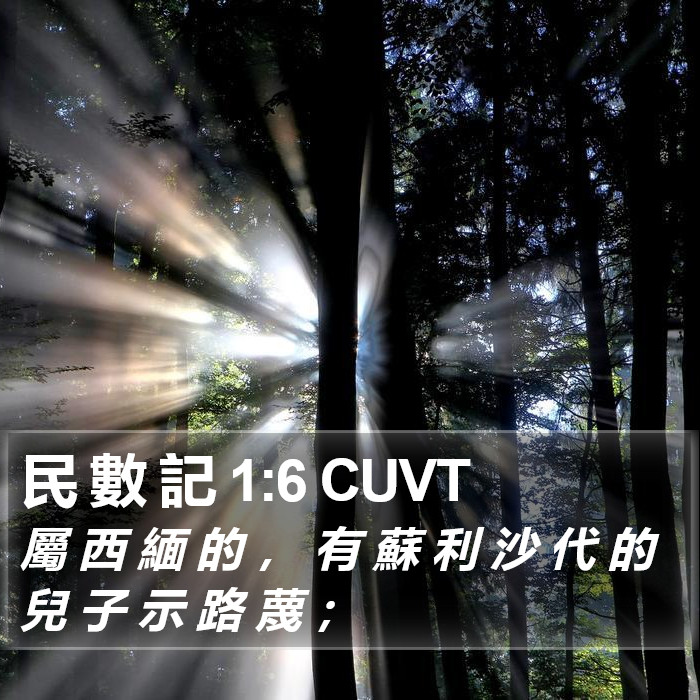 民 數 記 1:6 CUVT Bible Study