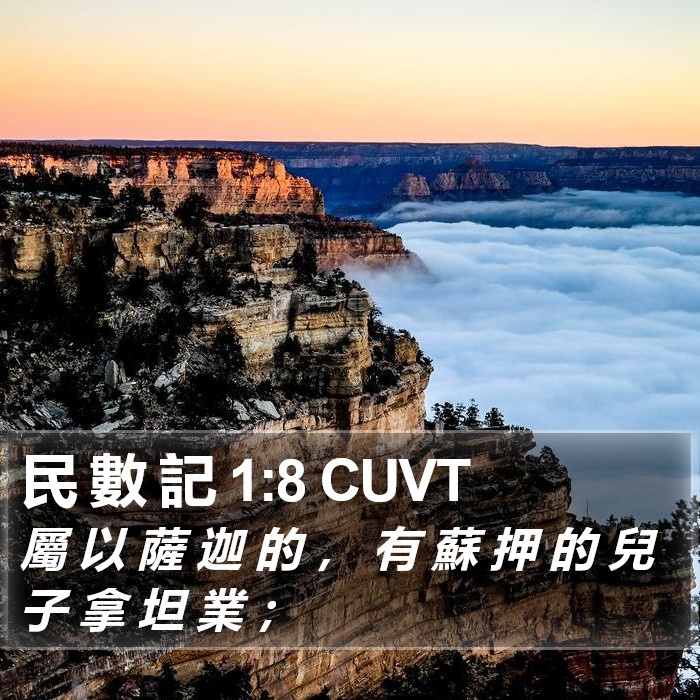 民 數 記 1:8 CUVT Bible Study