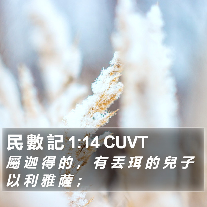 民 數 記 1:14 CUVT Bible Study