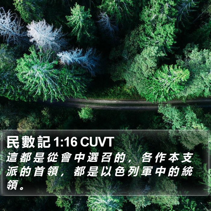 民 數 記 1:16 CUVT Bible Study