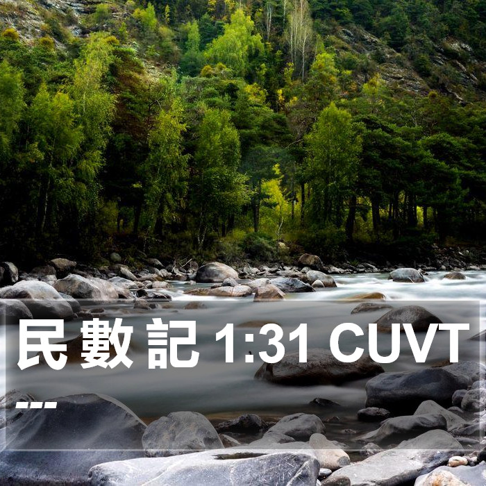 民 數 記 1:31 CUVT Bible Study