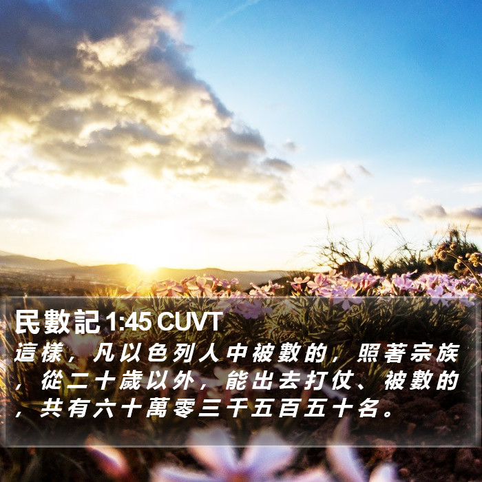 民 數 記 1:45 CUVT Bible Study