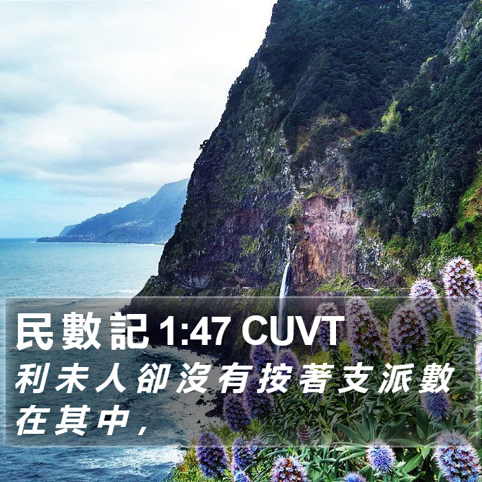 民 數 記 1:47 CUVT Bible Study