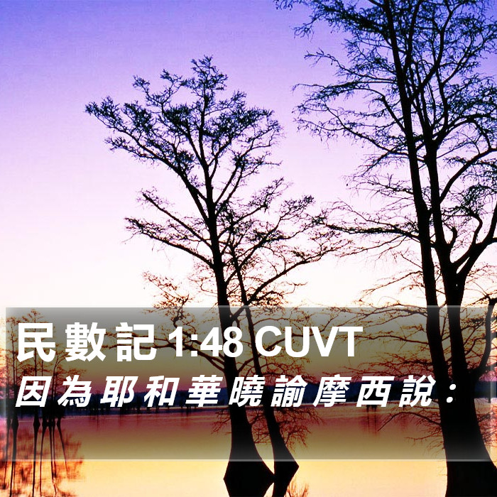 民 數 記 1:48 CUVT Bible Study