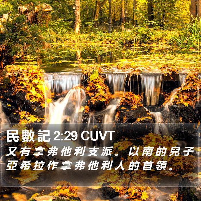 民 數 記 2:29 CUVT Bible Study