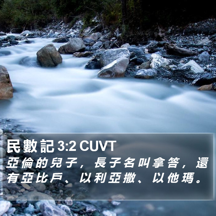 民 數 記 3:2 CUVT Bible Study