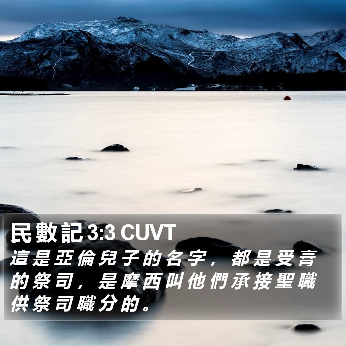 民 數 記 3:3 CUVT Bible Study