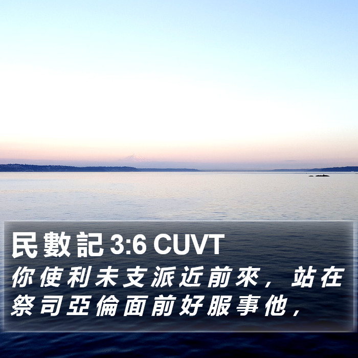 民 數 記 3:6 CUVT Bible Study