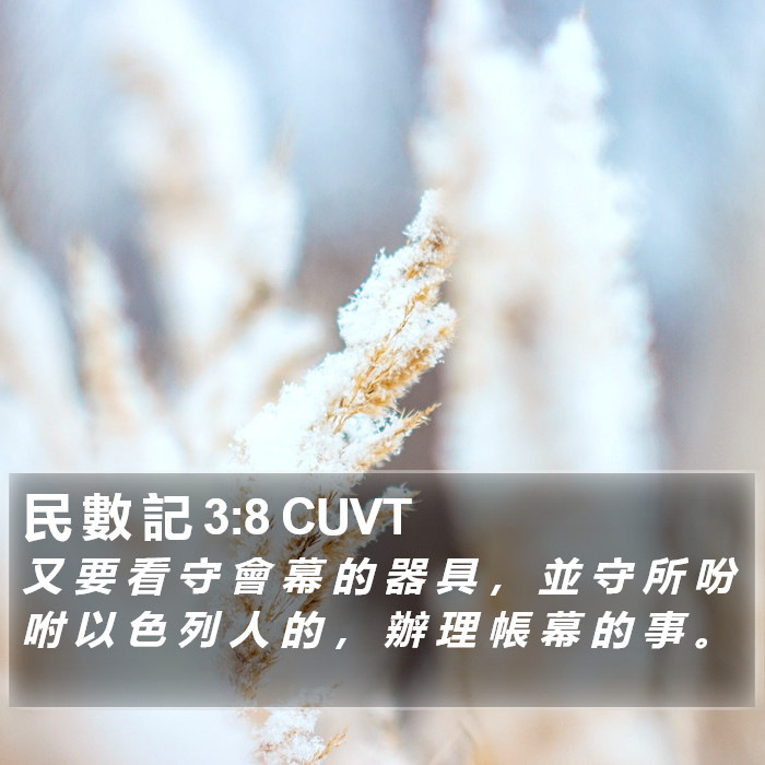 民 數 記 3:8 CUVT Bible Study