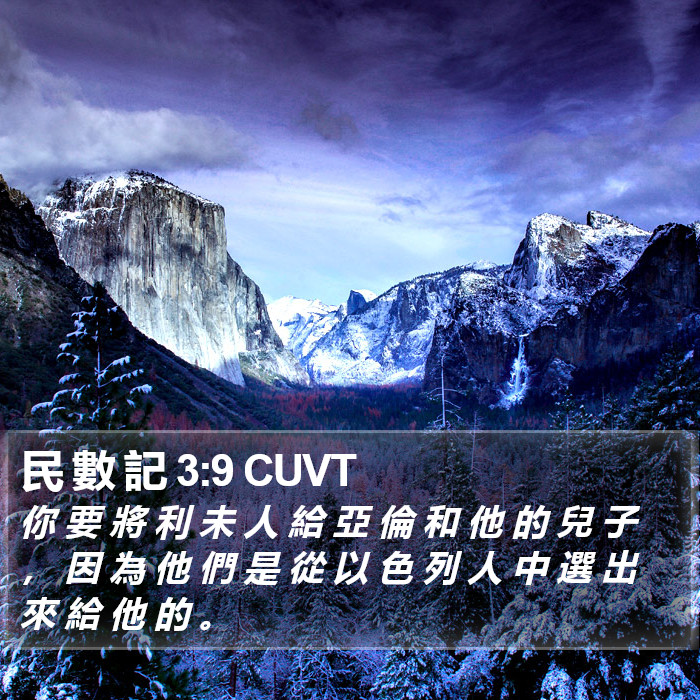 民 數 記 3:9 CUVT Bible Study