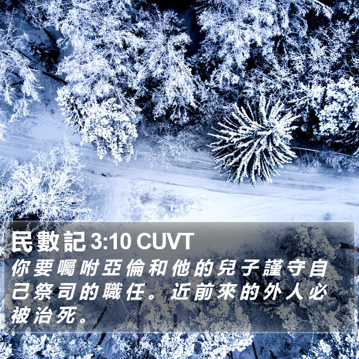 民 數 記 3:10 CUVT Bible Study