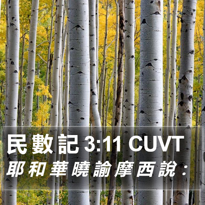 民 數 記 3:11 CUVT Bible Study