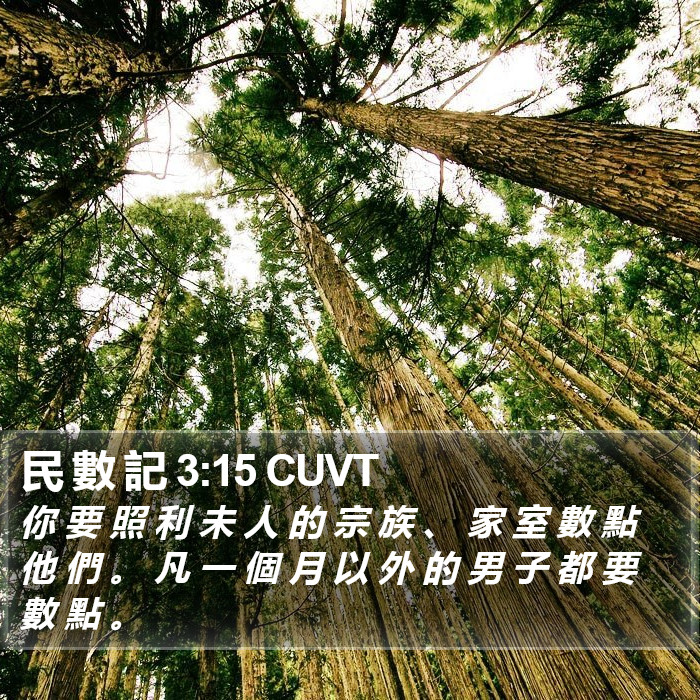 民 數 記 3:15 CUVT Bible Study