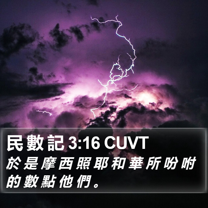 民 數 記 3:16 CUVT Bible Study