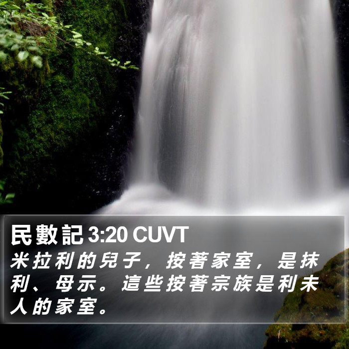 民 數 記 3:20 CUVT Bible Study