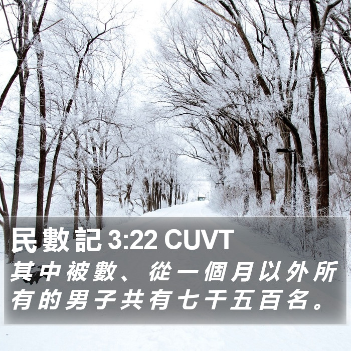 民 數 記 3:22 CUVT Bible Study