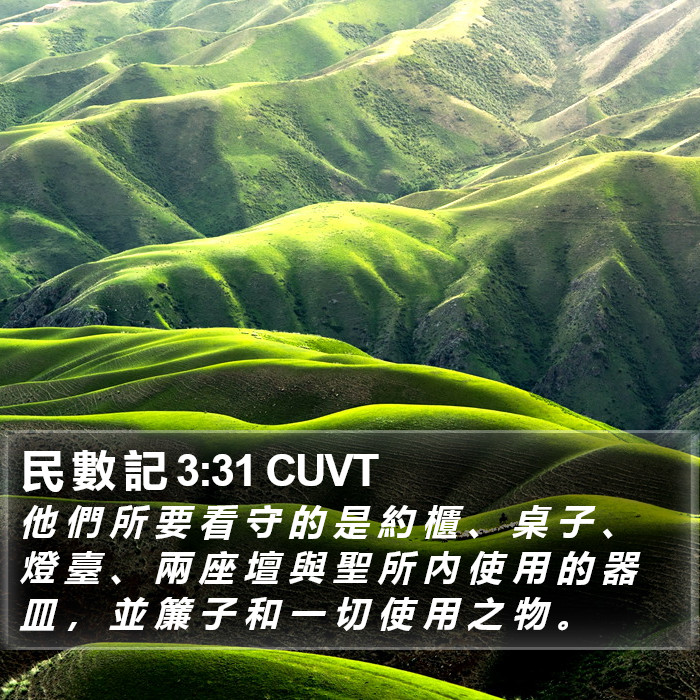 民 數 記 3:31 CUVT Bible Study