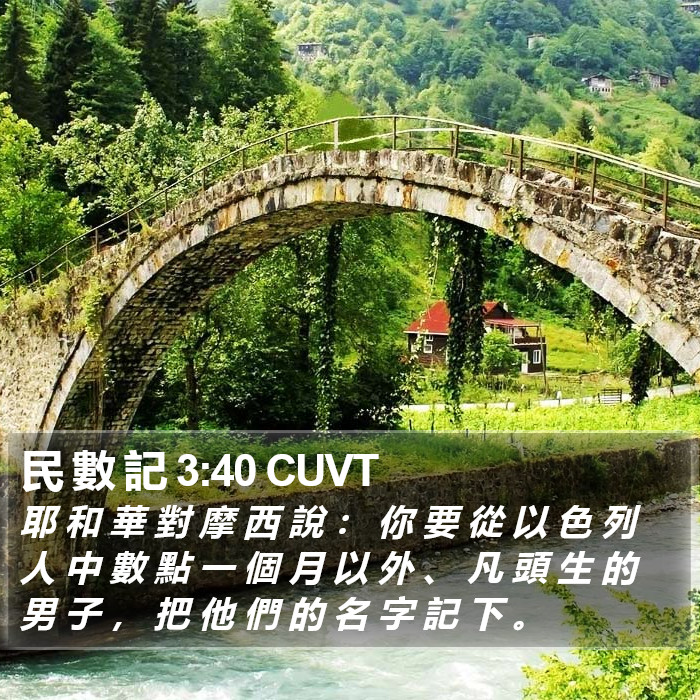 民 數 記 3:40 CUVT Bible Study