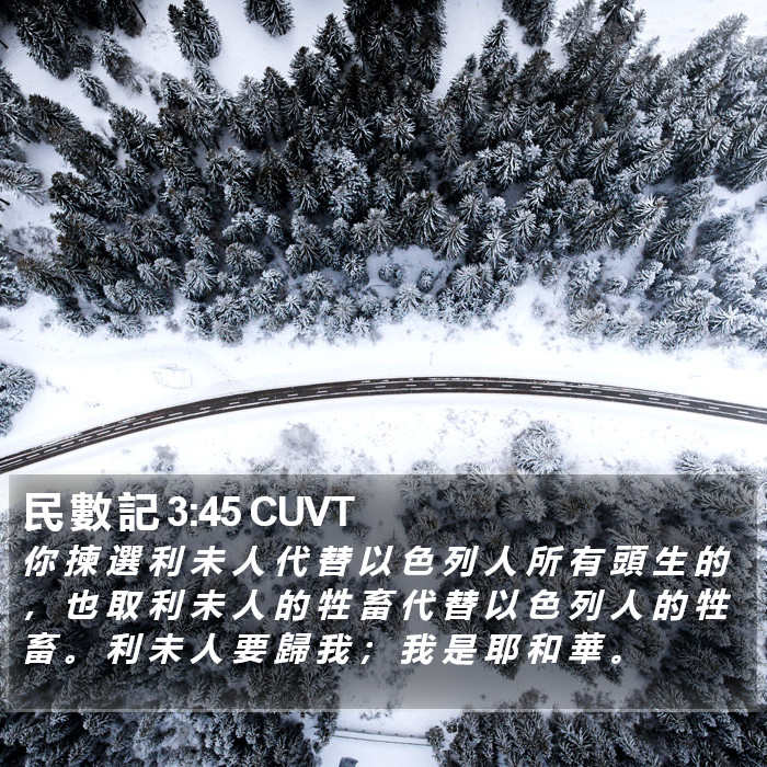 民 數 記 3:45 CUVT Bible Study