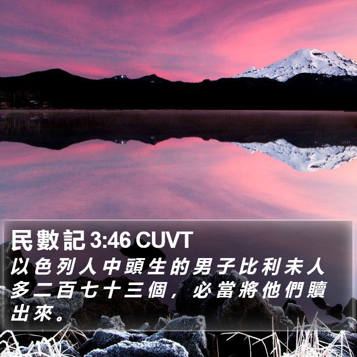 民 數 記 3:46 CUVT Bible Study