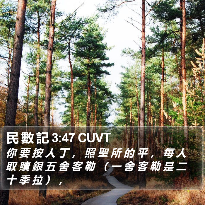 民 數 記 3:47 CUVT Bible Study