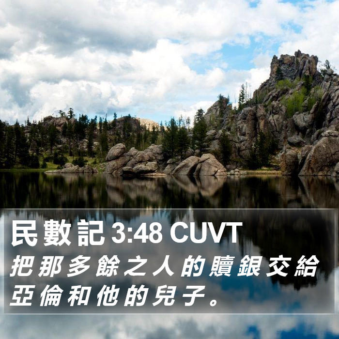 民 數 記 3:48 CUVT Bible Study