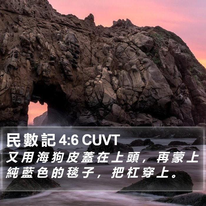 民 數 記 4:6 CUVT Bible Study