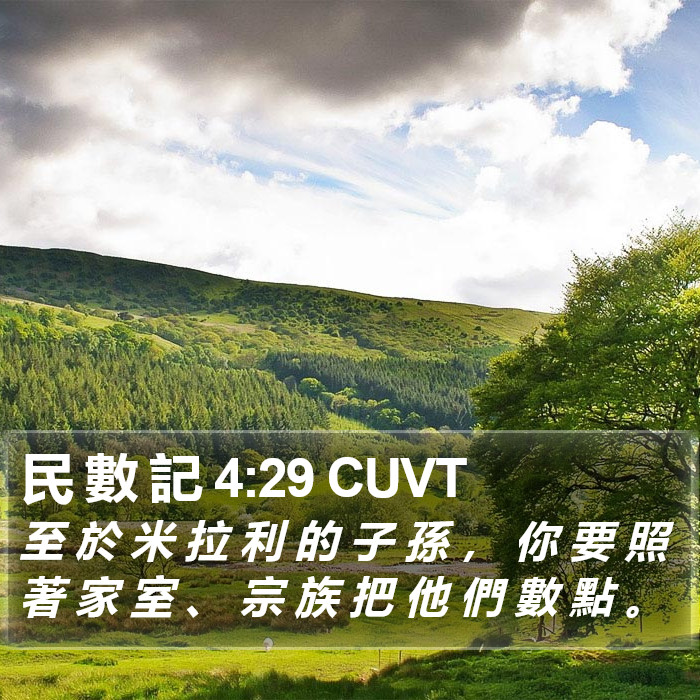 民 數 記 4:29 CUVT Bible Study