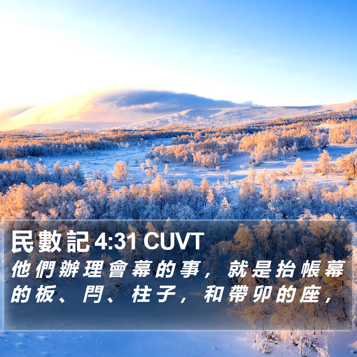 民 數 記 4:31 CUVT Bible Study