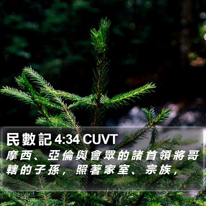 民 數 記 4:34 CUVT Bible Study
