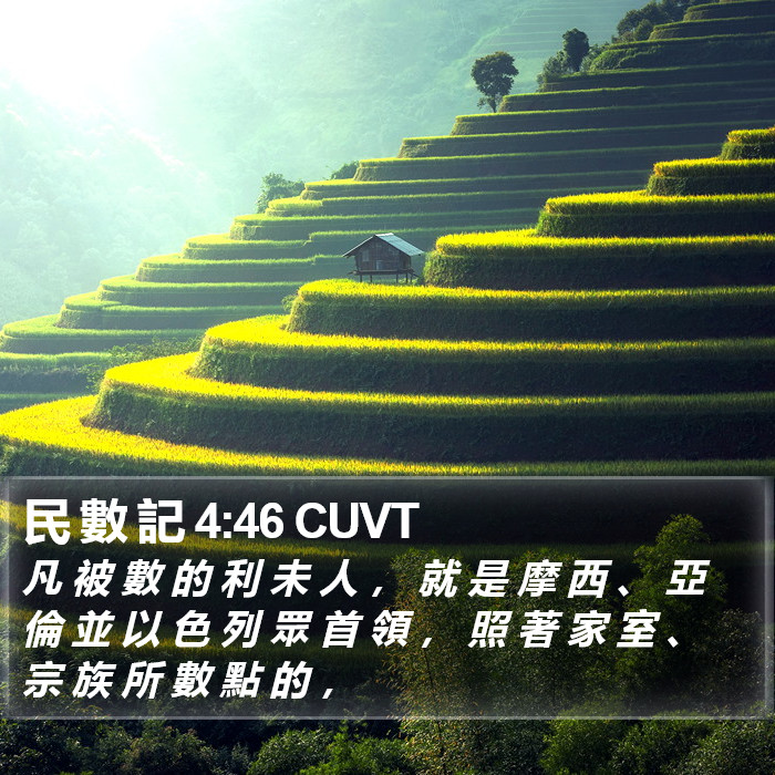民 數 記 4:46 CUVT Bible Study
