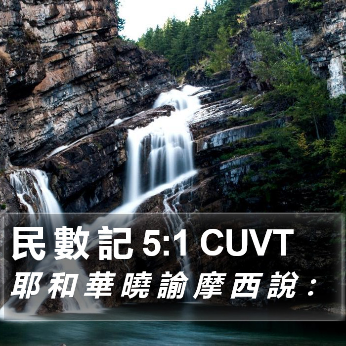 民 數 記 5:1 CUVT Bible Study
