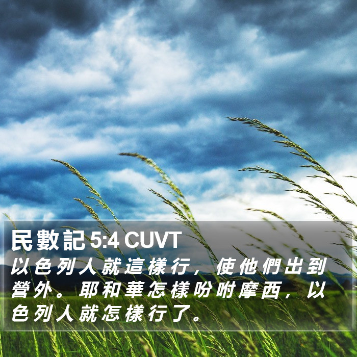 民 數 記 5:4 CUVT Bible Study