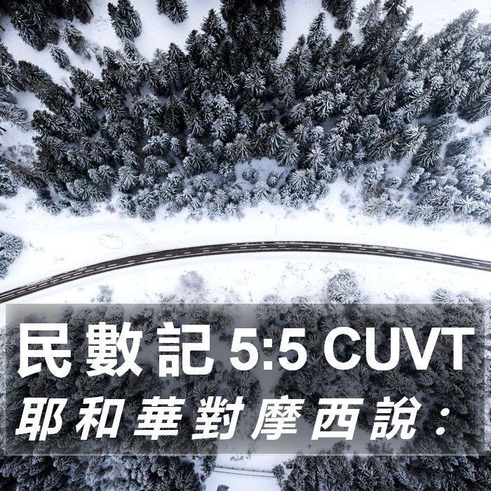 民 數 記 5:5 CUVT Bible Study