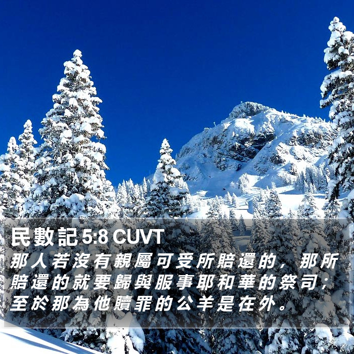 民 數 記 5:8 CUVT Bible Study