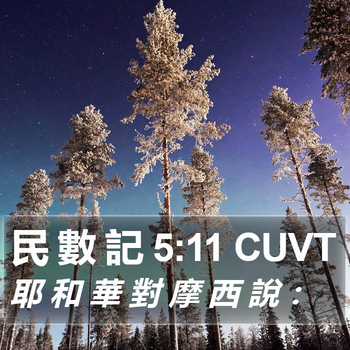 民 數 記 5:11 CUVT Bible Study