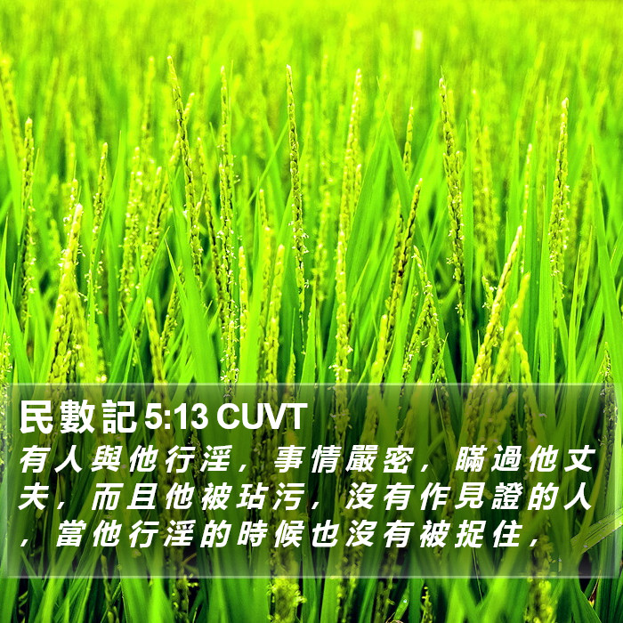 民 數 記 5:13 CUVT Bible Study