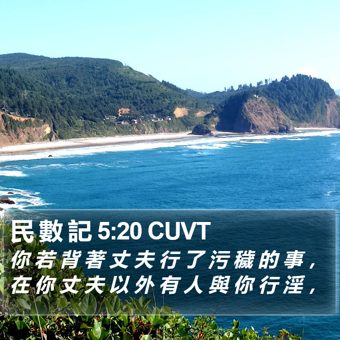 民 數 記 5:20 CUVT Bible Study