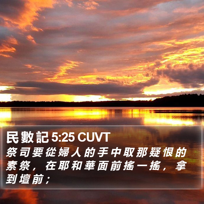民 數 記 5:25 CUVT Bible Study
