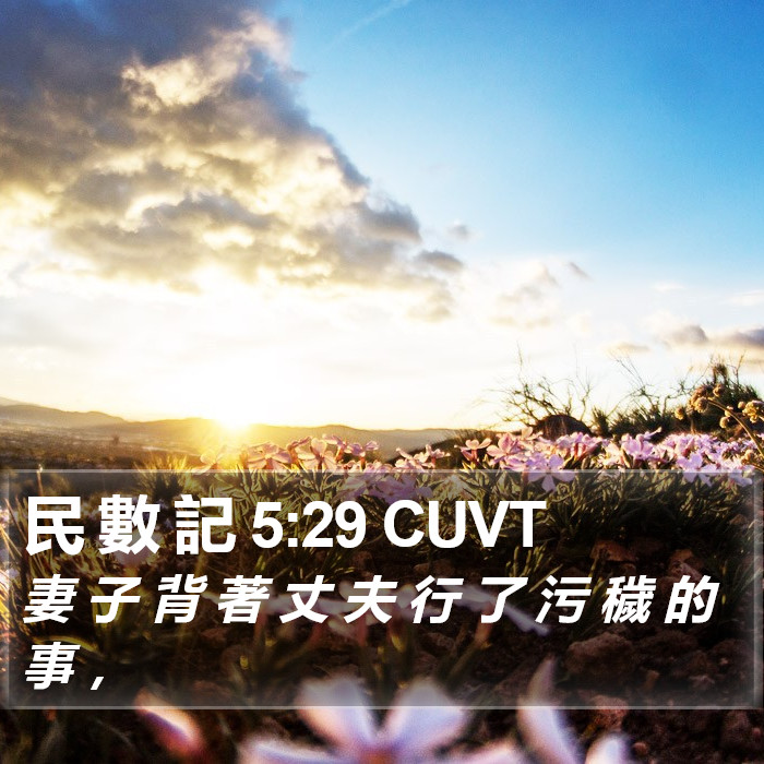 民 數 記 5:29 CUVT Bible Study
