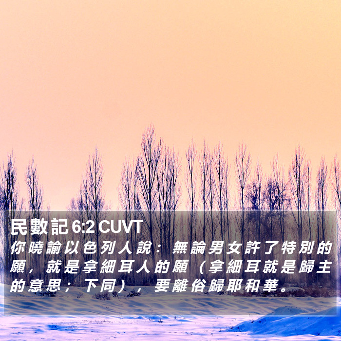 民 數 記 6:2 CUVT Bible Study