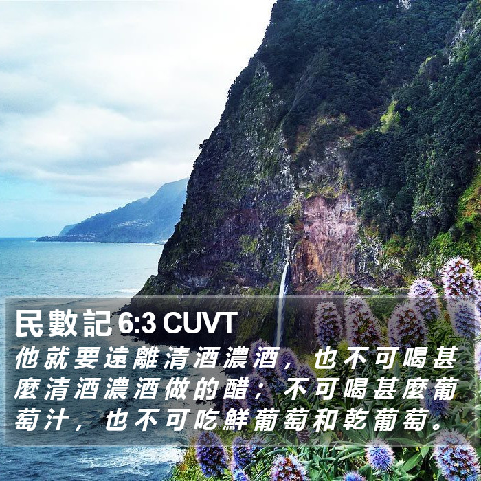 民 數 記 6:3 CUVT Bible Study