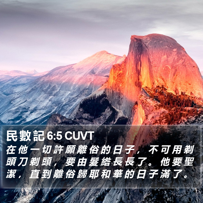 民 數 記 6:5 CUVT Bible Study