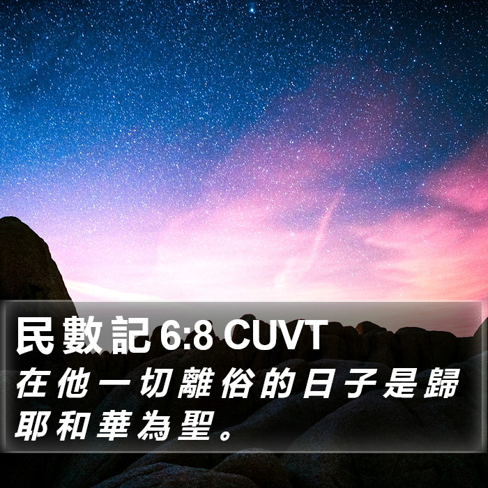 民 數 記 6:8 CUVT Bible Study