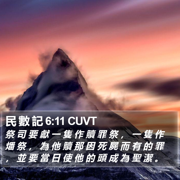 民 數 記 6:11 CUVT Bible Study