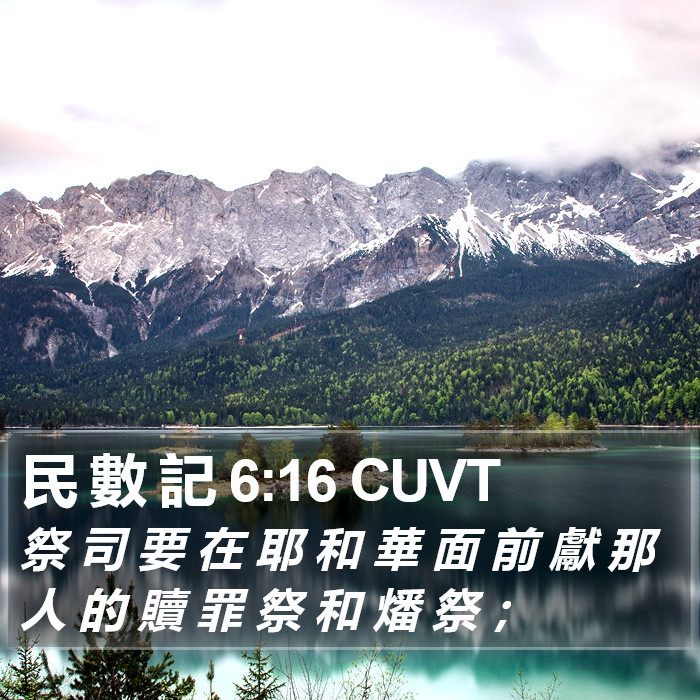 民 數 記 6:16 CUVT Bible Study