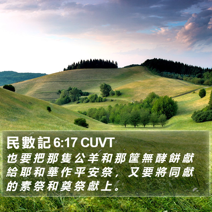 民 數 記 6:17 CUVT Bible Study