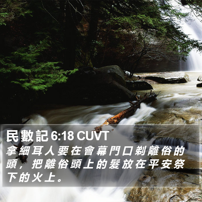 民 數 記 6:18 CUVT Bible Study