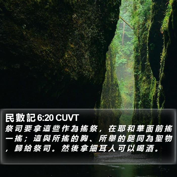 民 數 記 6:20 CUVT Bible Study
