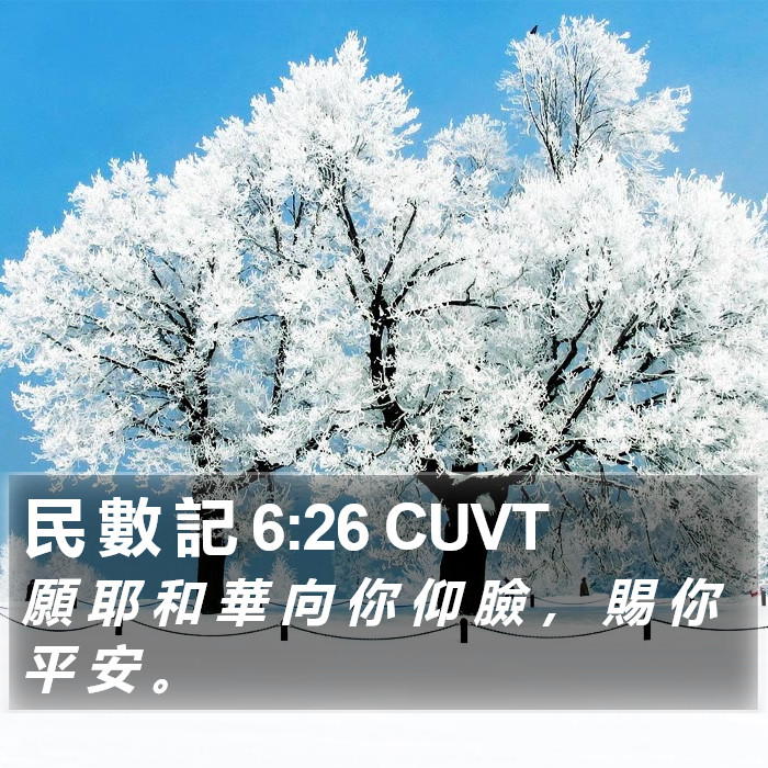 民 數 記 6:26 CUVT Bible Study